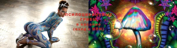 скорость Алзамай