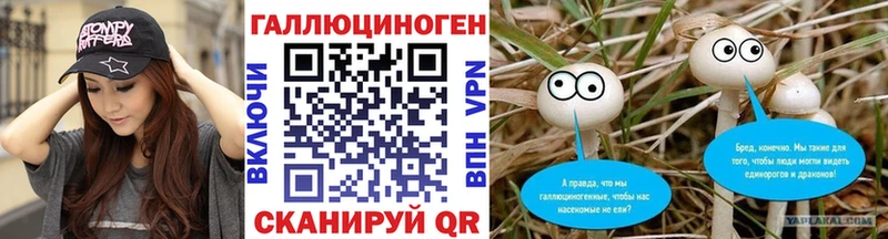 omg рабочий сайт  Новокузнецк  Галлюциногенные грибы GOLDEN TEACHER 
